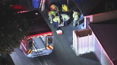 Man fatally shot after fight in Reseda alleyway, LAPD says